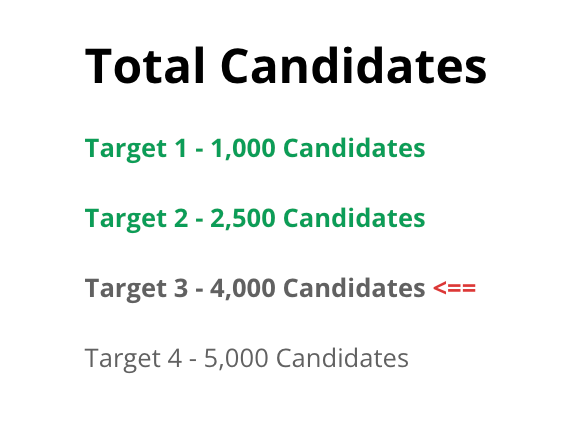 IG_Work_-_Reports_›_Candidate_Information.png